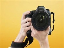 北京寵物攝影網(wǎng)站設(shè)計 創(chuàng)意與專業(yè)的完美融合